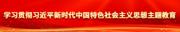 男人的鸡巴插进女人逼里的视频学习贯彻习近平新时代中国特色社会主义思想主题教育