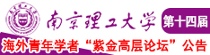 操笔美女的南京理工大学第十四届海外青年学者紫金论坛诚邀海内外英才！